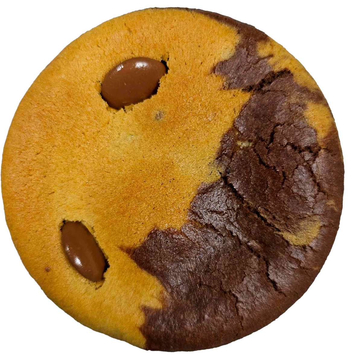 Brookie