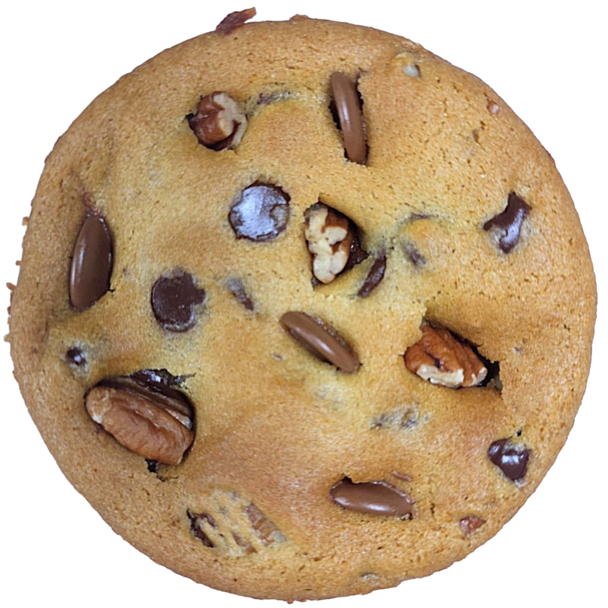 Maple Pecan Choco Dream 🍁
